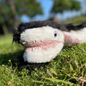 Fluff dragon