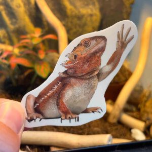 Bearded Dragon sticker – Transparent sticker