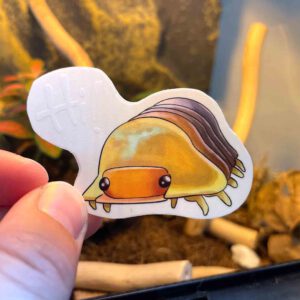 Duckie Isopod sticker - Transparent sticker