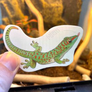 Giant Day Gecko sticker - Transparent sticker
