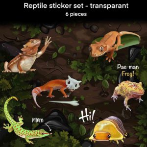 Reptile sticker set – Transparent stickers